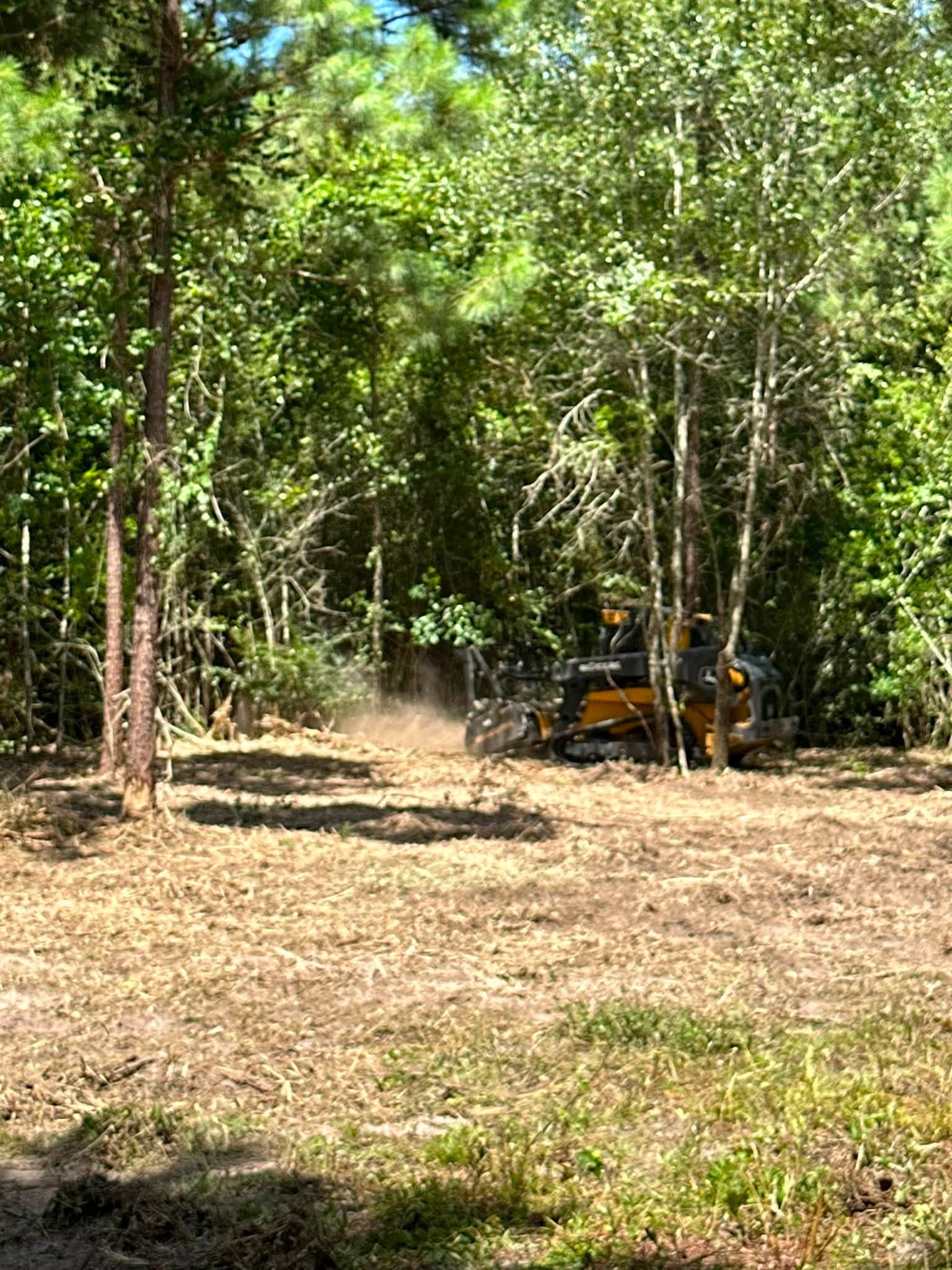 Forestry mulching in thick East Texas brush